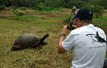 Galapagos Sky Giant Tortoise Excursion